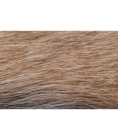 ELK BODY HAIR LIGHT BULL